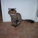 Gay Thomas - @10gg - Twitter