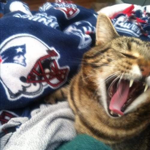 Stacey_Facey_'s profile picture. Stacey Facey all over the Placey