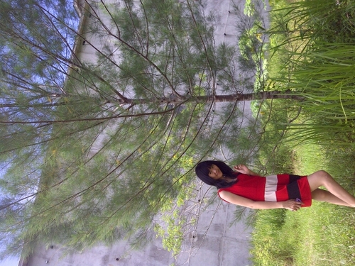 lian_lessy's profile picture. 