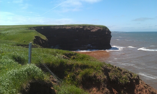 Johndavisonpei's profile picture. 