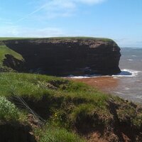 John Davison (@johndavisonpei) 's Twitter Profile