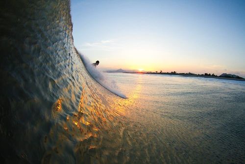 pedrobernuy1975's profile picture. 