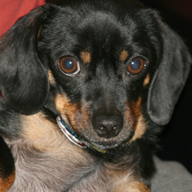 Midgieboy's profile picture. 