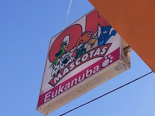 okmascotas esta ubicado en la calle Fernando Guanarteme n°12 en el Cruce de Sardina en Santa Lucia