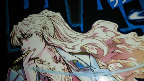 フライフェイス