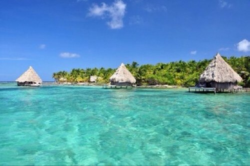 joinICR's profile picture. Join @islandcelebsrp :)