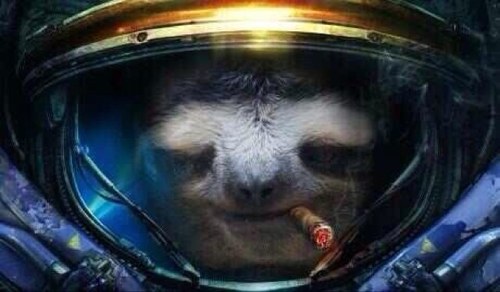 warmbeerr's profile picture. 