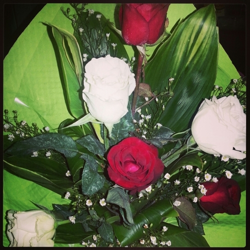 shirbet23's profile picture. 