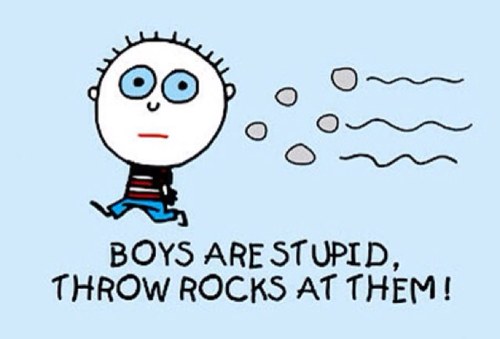 Throwrocksathem's profile picture. 99.9% of the time, boys are stupid. To solve this, throw rocks at them.