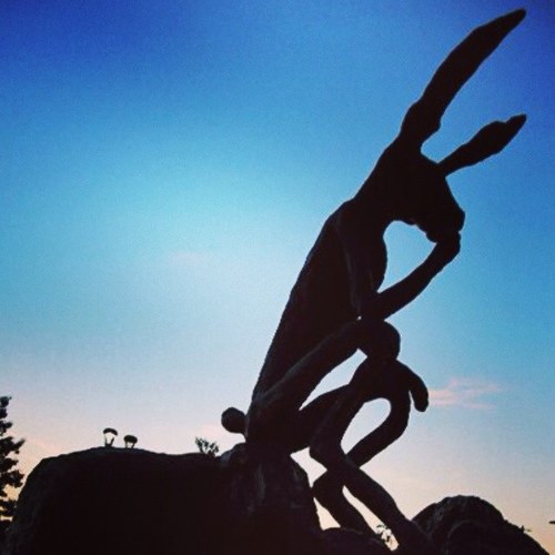 LizDirkX's profile picture. °Attitude 0f Gratitude°