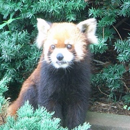 YasuyoshiOta Profile Picture