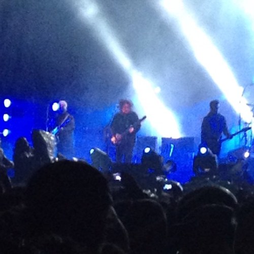 tabardov's profile picture. Director en Tribeca Industrial