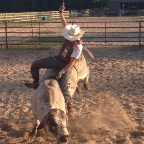 WyattHughes7's profile picture. 