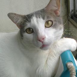 PrincesaLuceron Profile Picture