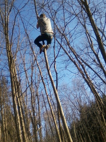 BADegroft's profile picture. the sky is the limit