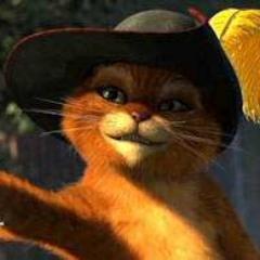 動物全般が好き❣️ 茶トラ猫の、コンタロウを飼ってます(=^ェ^=)