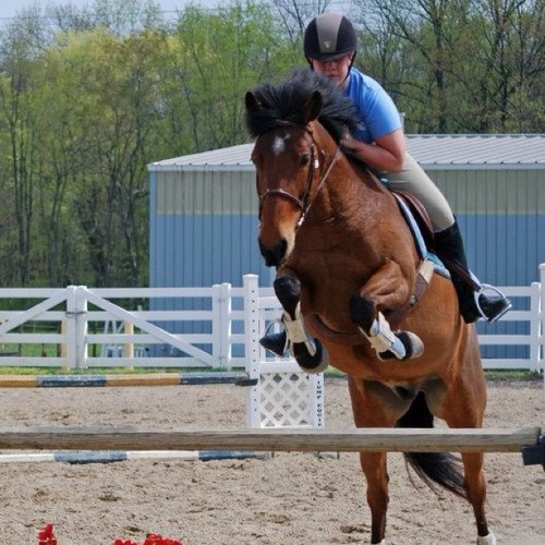 Forever regretting being technically too tall for ponies.