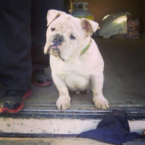 dylansihota's profile picture. 