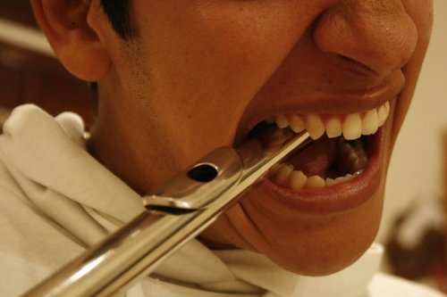 j_felino's profile picture. Algo extrovertido desinhibido, sociable, platicador pero buen escucha