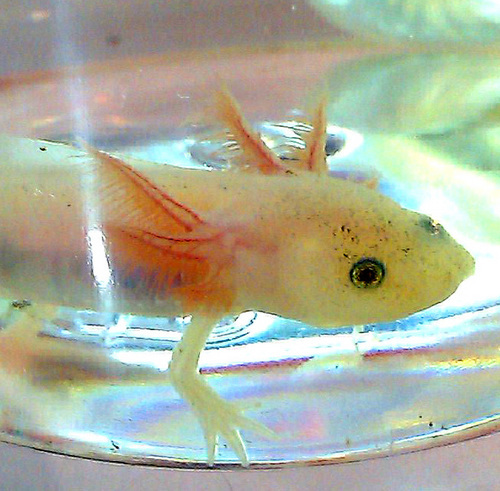 闇8割(コロナ後遺症、更年期、メニエール、花粉症、IT金融など) 希望2割(食べ物、旅行、推し、ゲーム、古墳、歴史、大河ドラマ、投資)  LongCovit
