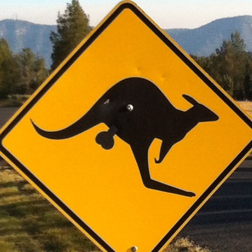 NoBoSugar's profile picture. All views are my own.