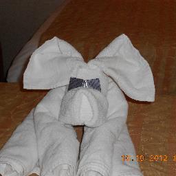 gr8totravel's profile picture. 