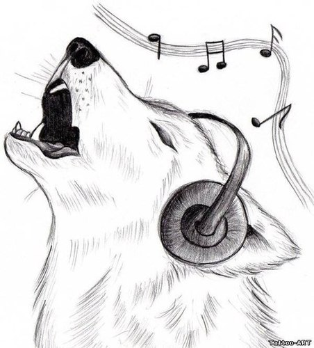 almateka's profile picture. 