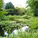 Luna Lowe - @luna_lowe - Twitter