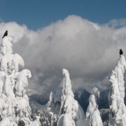 ajaholikova's profile picture. 