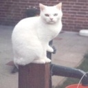 Leon Burris - @LeonBurris3 - Twitter