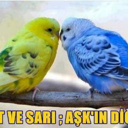 aasiiiii's profile picture. 