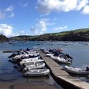 joan mitchell - @joanmitchell1 - Twitter