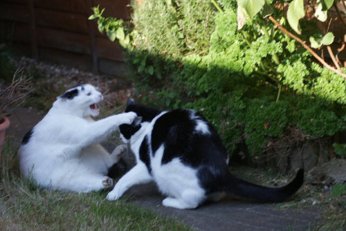 gpowers1978's profile picture. 