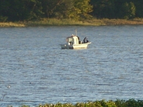 han24id's profile picture. 보수가 지키려 하는건 이념이아닌 국가정체성이다.
좌파가 지키려는건 국가가아닌 이념이다.
따라서 보수는 좌파로부터 국가를 지켜내야 하는것이다.