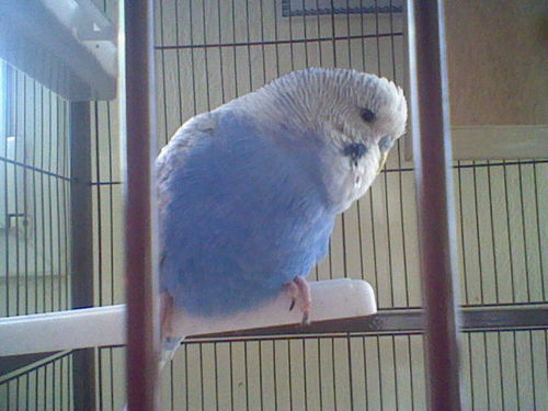 Cassie57350's profile picture. 