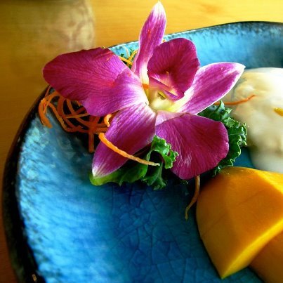 BabethTKD's profile picture. baby,teen,adult...
human being...