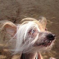 mags (@agliolini) 's Twitter Profile