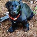 Tasha McDaniel - @TheSamsonStatus - Twitter