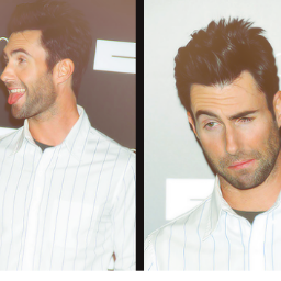 maroooner's profile picture. @adamlevine
