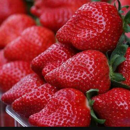 ‏‏‏‏‏اللهم اني أسآلك رضاك والجنه 