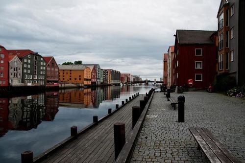 duongtheslayer's profile picture. 