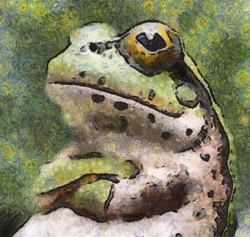 sonoyu670's profile picture. 最高にロックだ。