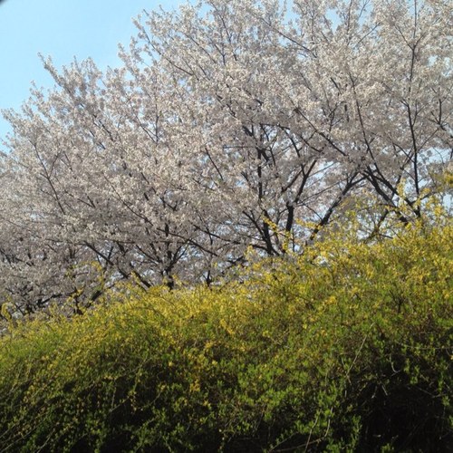 aaa0272114's profile picture. 