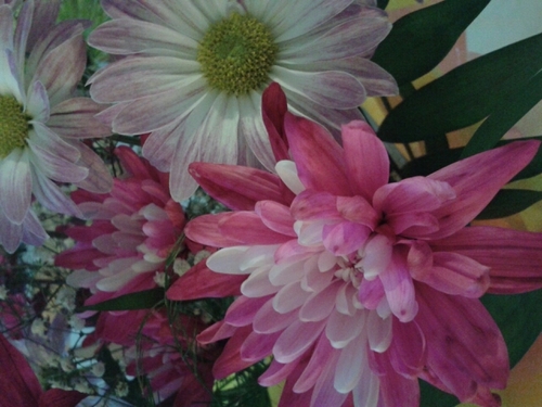 StoneMeadows1's profile picture. 