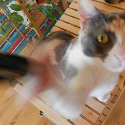 simonadini's profile picture. 