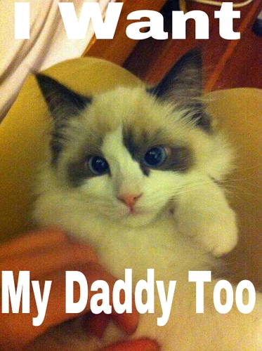 jahars_hope's profile picture. Dont believe the mainstream media becuase they're controlled by the goverments #FreeJahar