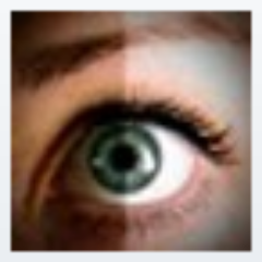 pauljgt247's profile picture. EasyVestor with a day job in the coolest business in SA (IMHO)