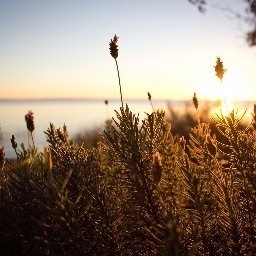 obutiaitapua's profile picture. 