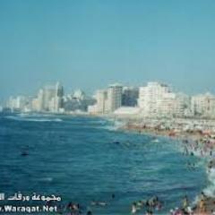 jobinmiami's profile picture. 