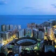 albertooSixTeen's profile picture. 